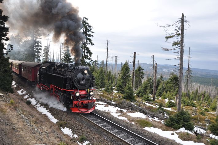 Brockenbahn