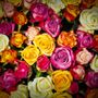 Blumenstrauß ins Zimmer
