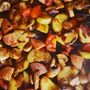 ragout