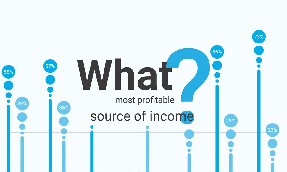 What was your the most profitable source of income?