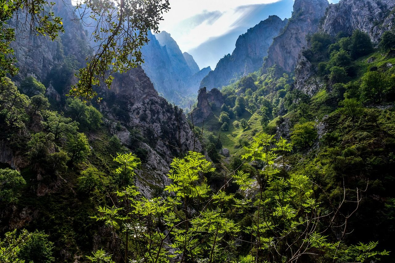 The Picos De Europa