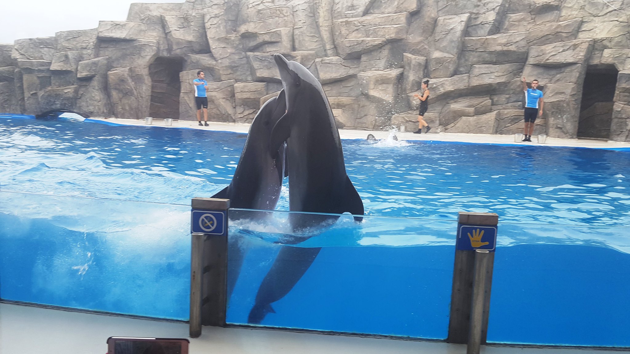 Dolphinarium, Batumi