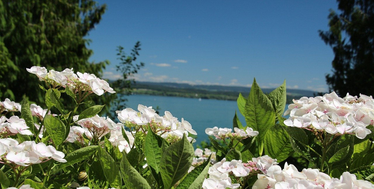 Mainau