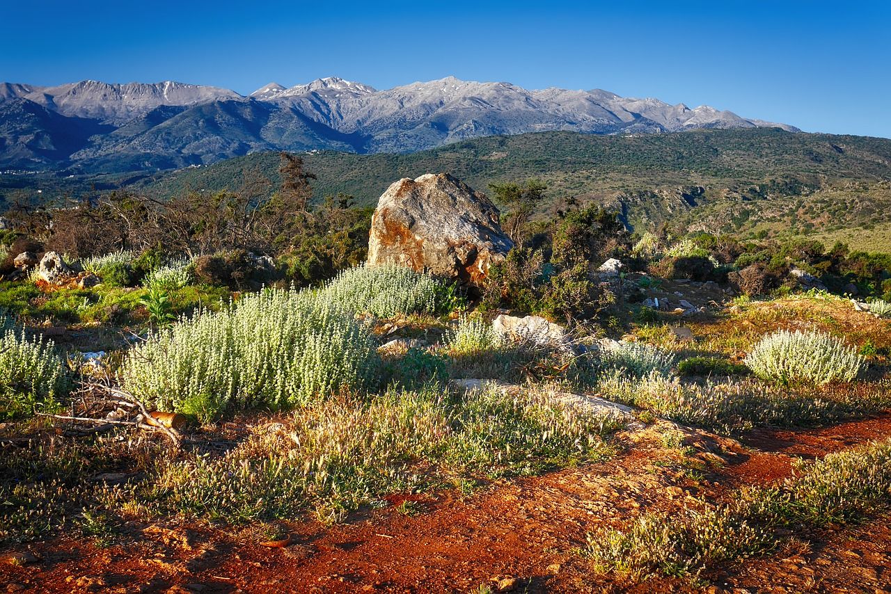 White Mountains