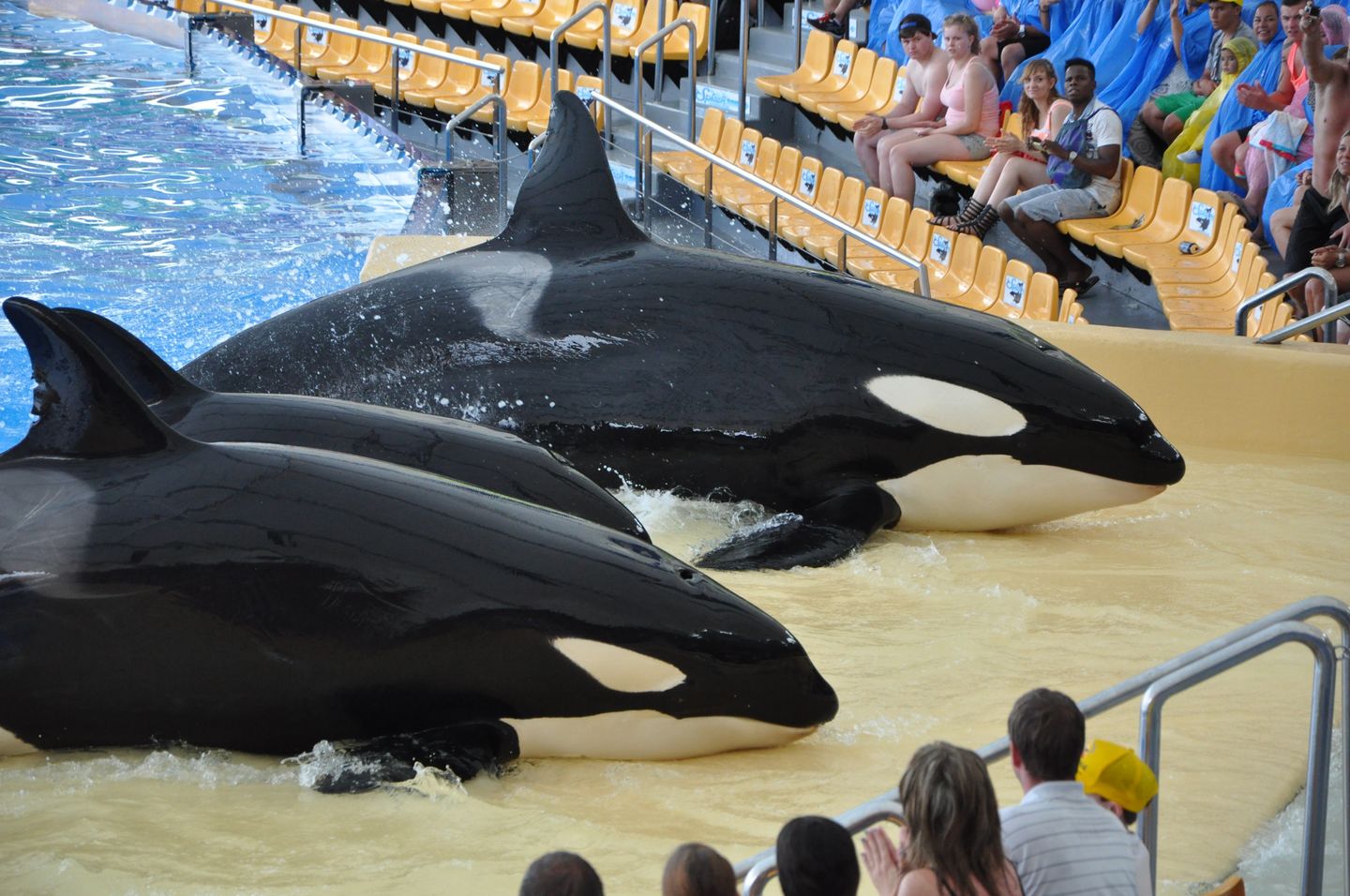 Siam Park