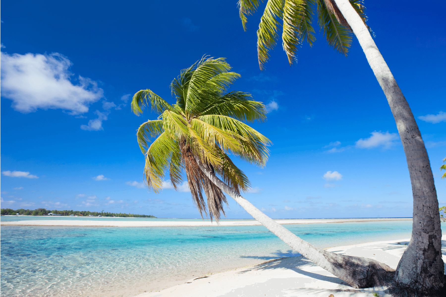 Tikehau, French Polynesia